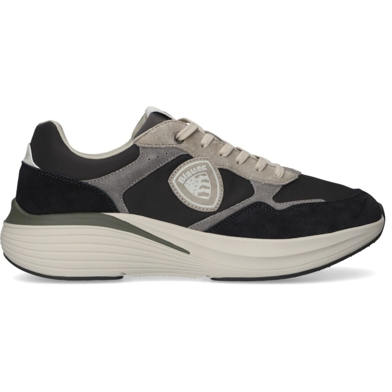 Blauer,  Lander02