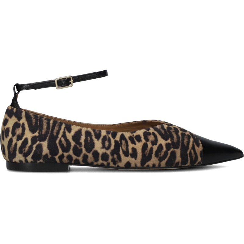 Toral Ballerina
Dames Cristelle