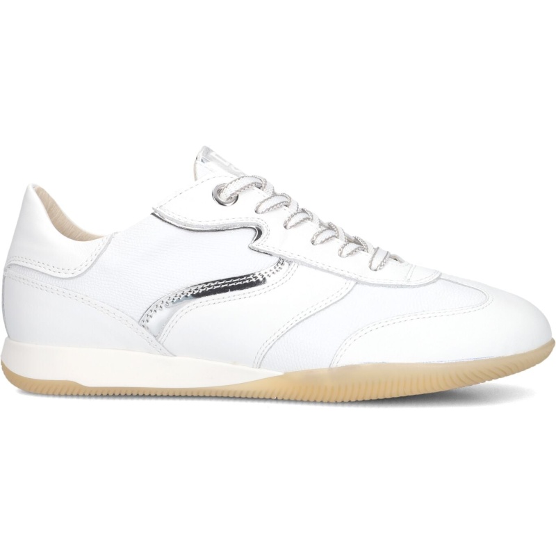 DL Sport,  6572