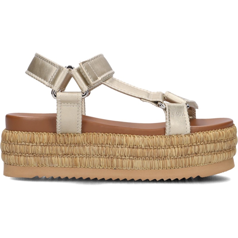 Blasz Dames Cls14351