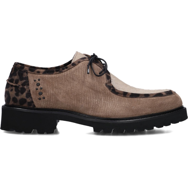 Floris van Bommel Veter
Dames Sfw-30036 Selsi