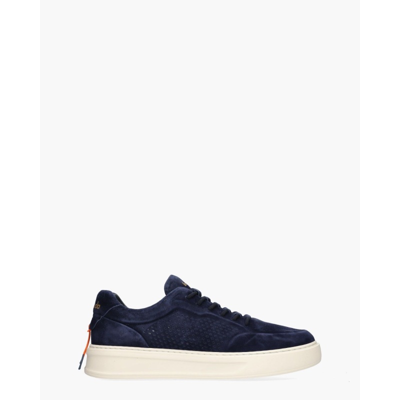 Barracuda Phoenix Donkerblauw