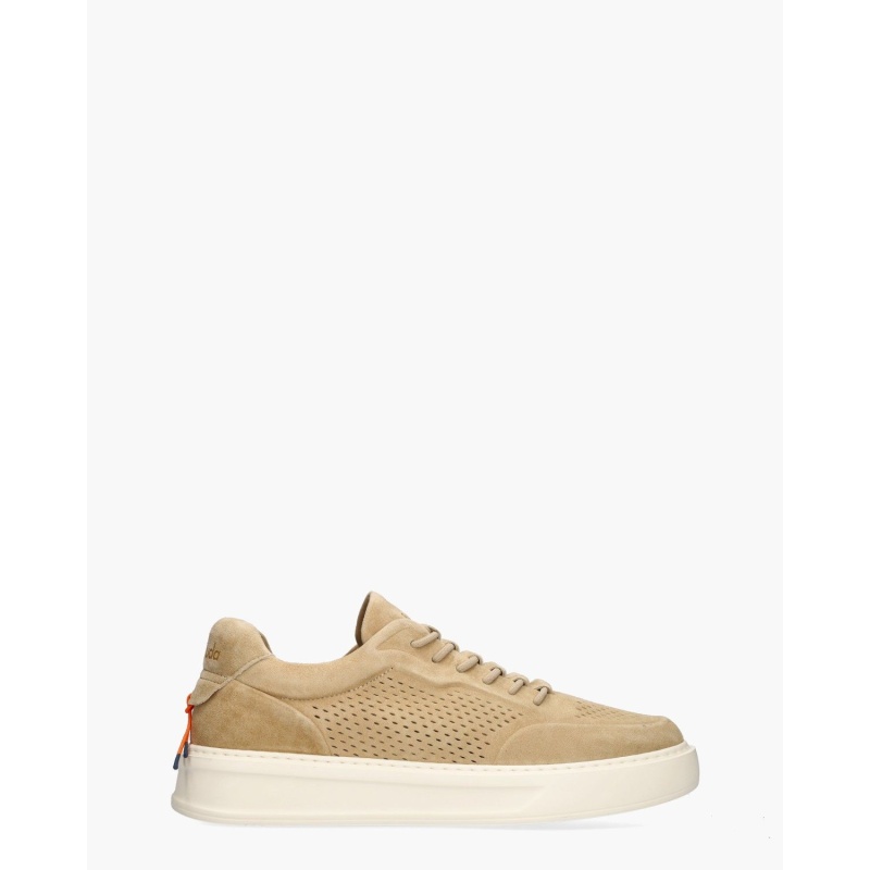 Barracuda Phoenix Beige