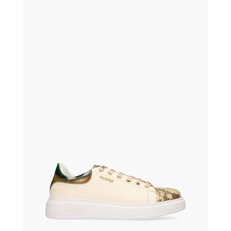 Harris Paul Multicolor