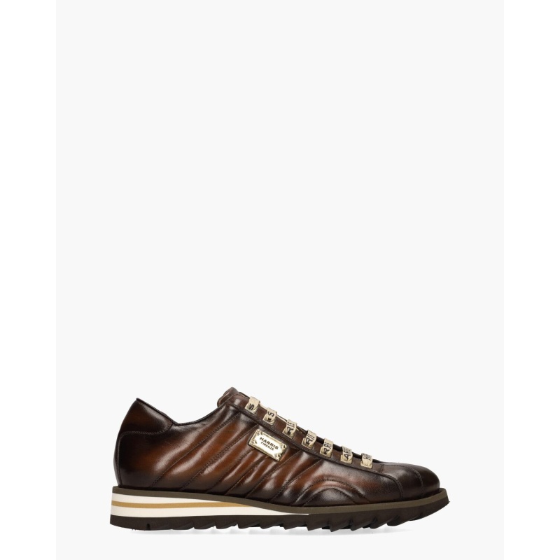 Harris 0894 Bruin