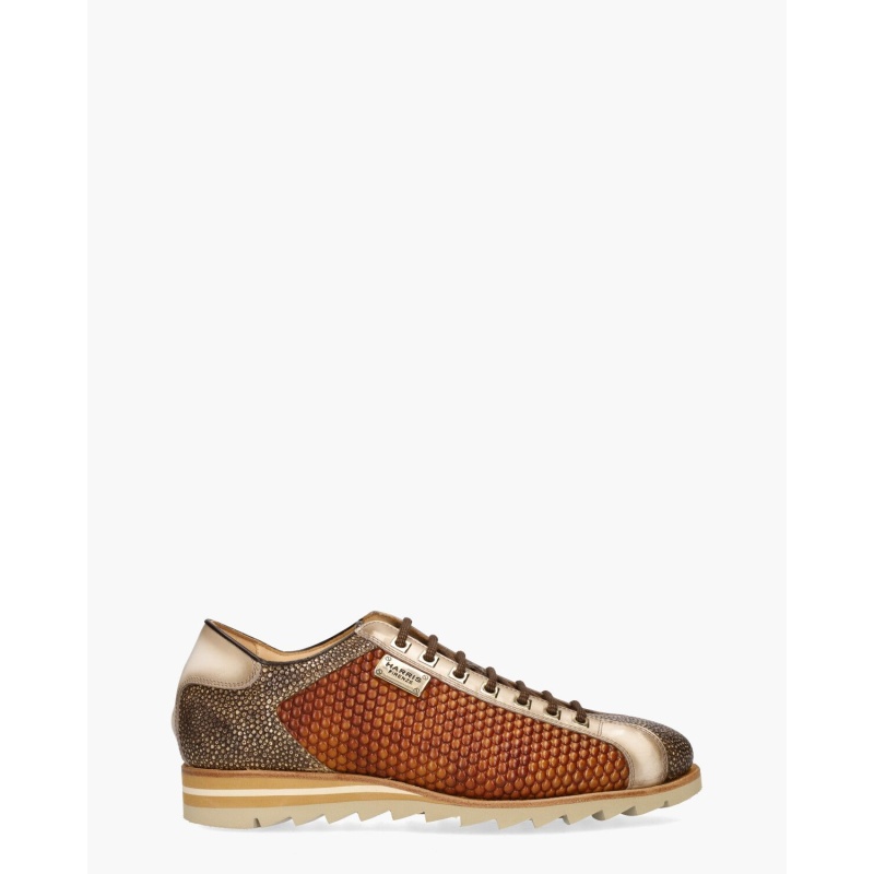 Harris 2817 Bruin/Beige