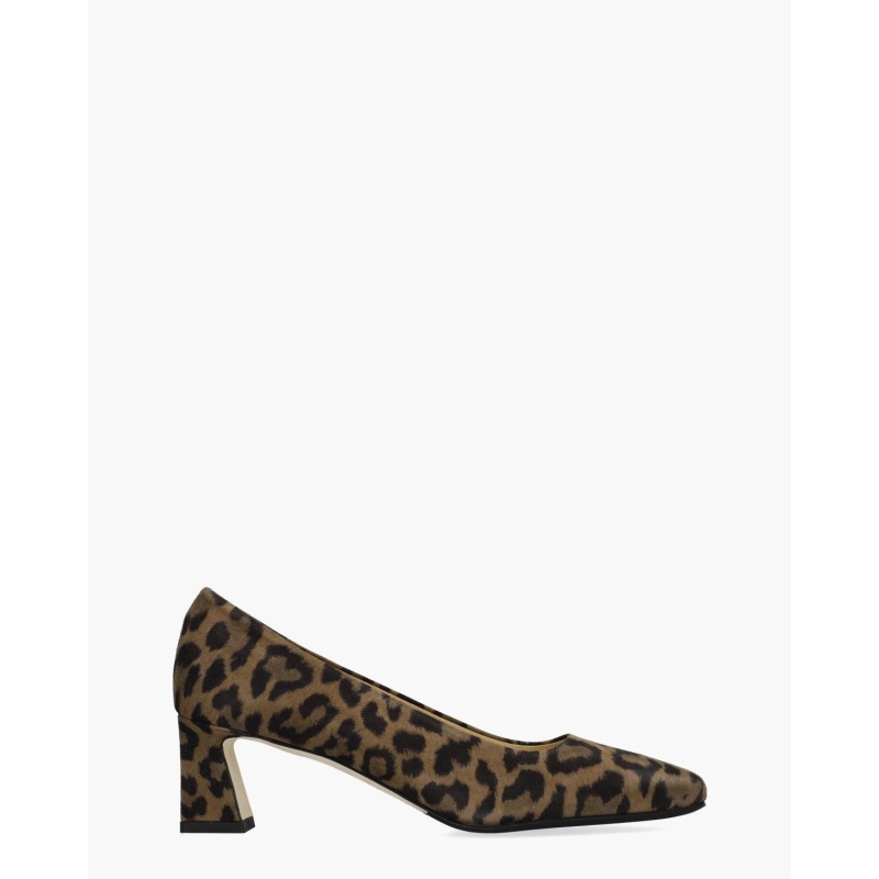 Brunate 51376 Bruin