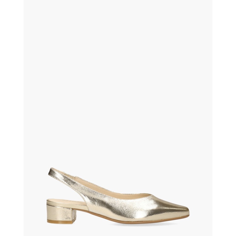 Stilan Wagar Goud