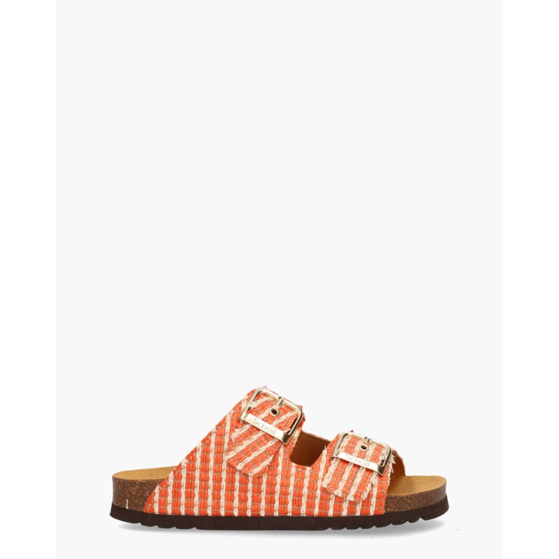 Scholl Noelle Oranje