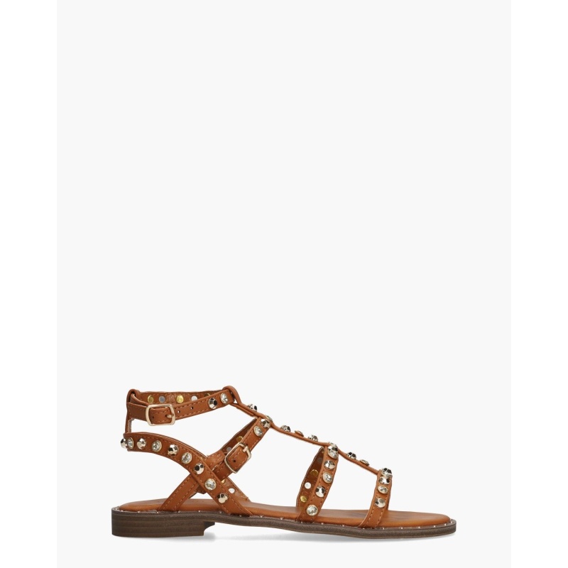 Cyna Zia Cognac