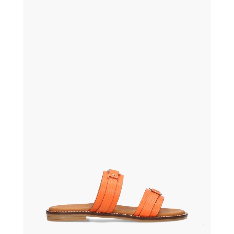 Cypres Tosja Oranje
