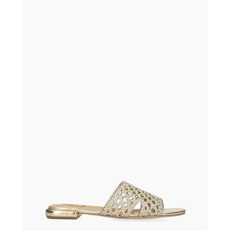 Sirena Wisia Goud