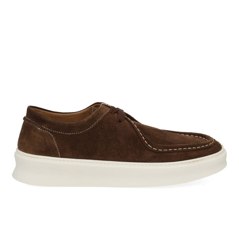 Blue industry Brooke 802 coffee Bruin