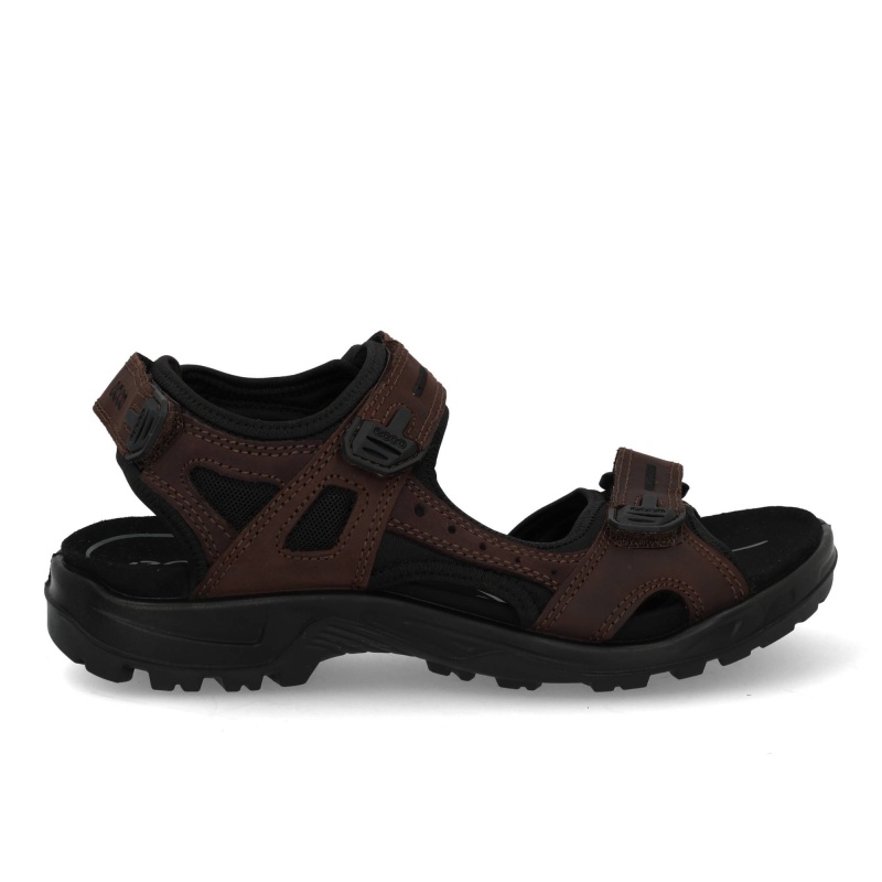 Ecco Offroad yucatan 06956458290 moch Bruin