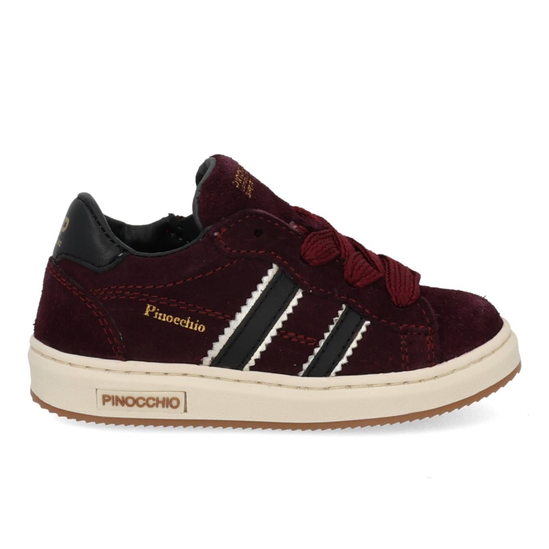 Pinocchio P1102 bordo combi bordo