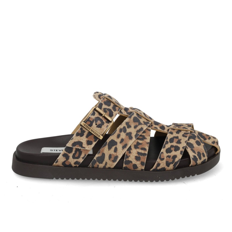 Steve Madden Mamba leopard multi bruin