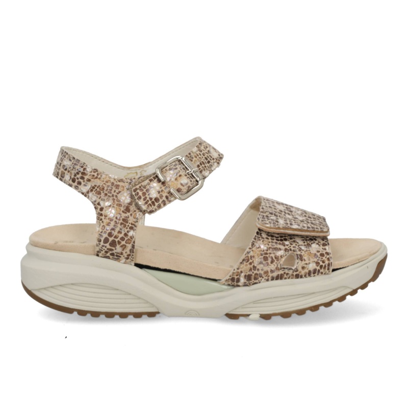 Xsensible Stretchwalker Scala 30312.5 428 sand combi Beige