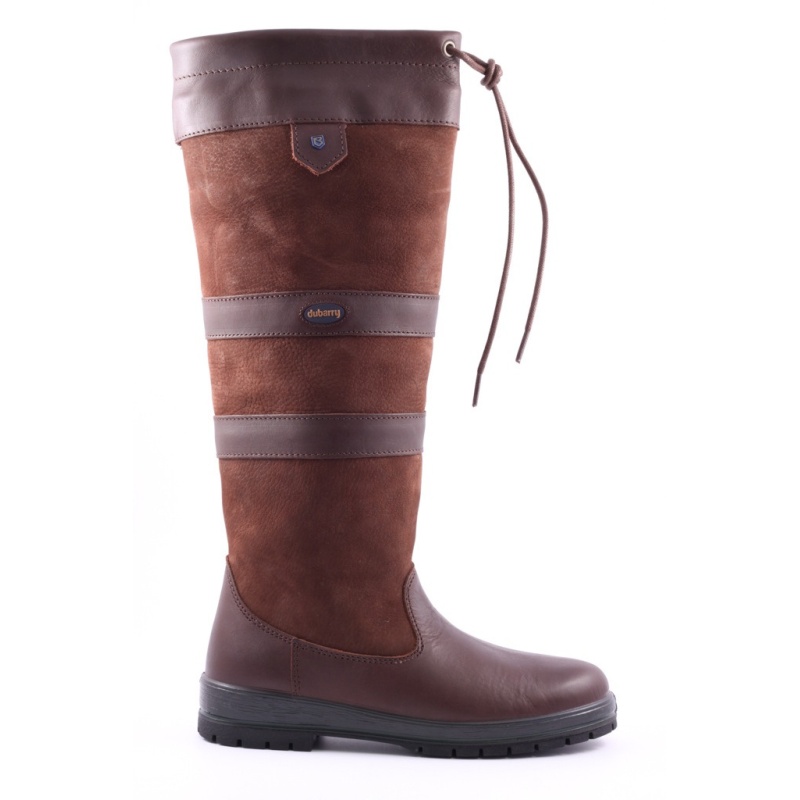 Dubarry Galway walnut Bruin